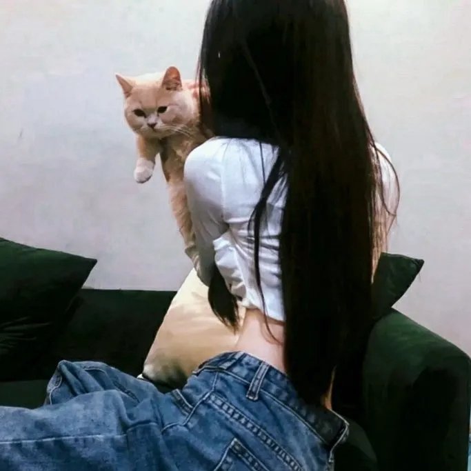 黑板丛林